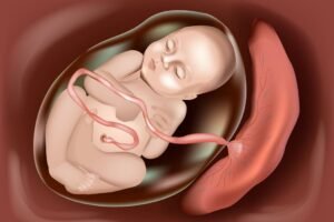 ثمن المشيمة قد يصل لخمسين ألف جنيه إسترليني.