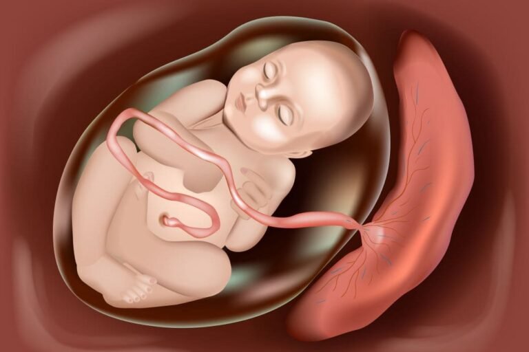 ثمن المشيمة قد يصل لخمسين ألف جنيه إسترليني.